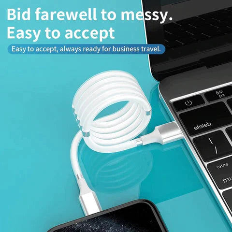 Self Organized Magnetic Fast charging cable