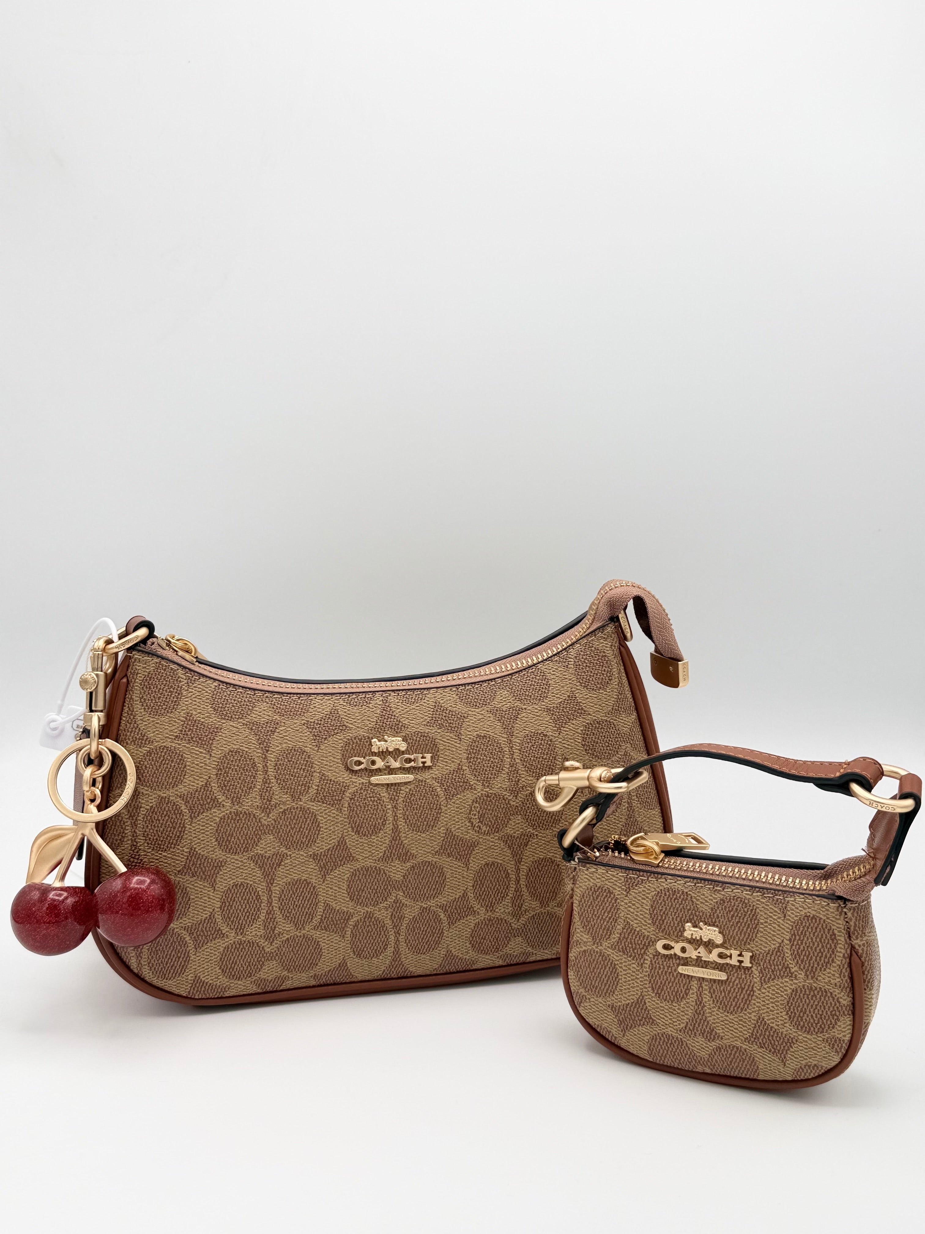 Coach Bag 2 pieces set Master copy