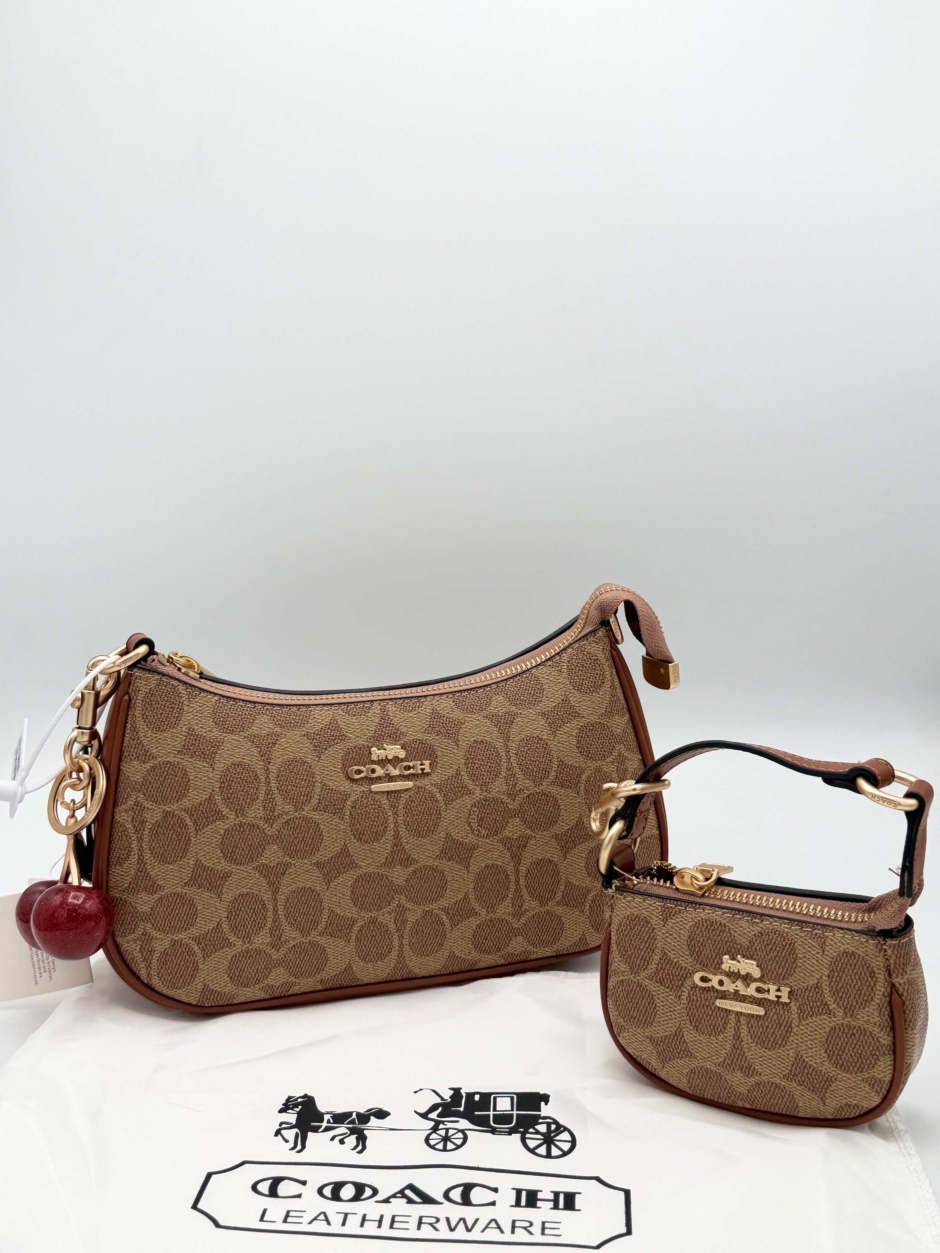 Coach Bag 2 pieces set Master copy