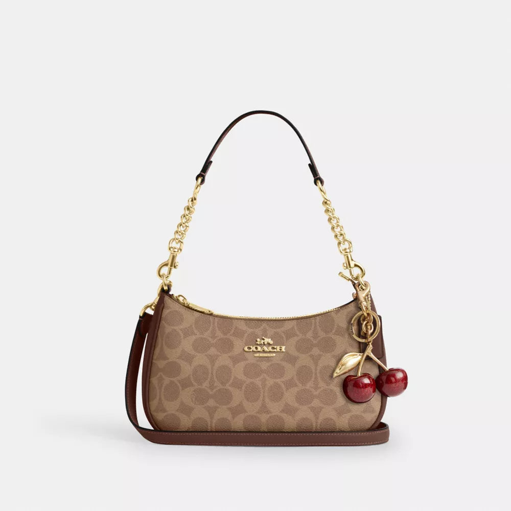 Coach Bag 2 pieces set Master copy