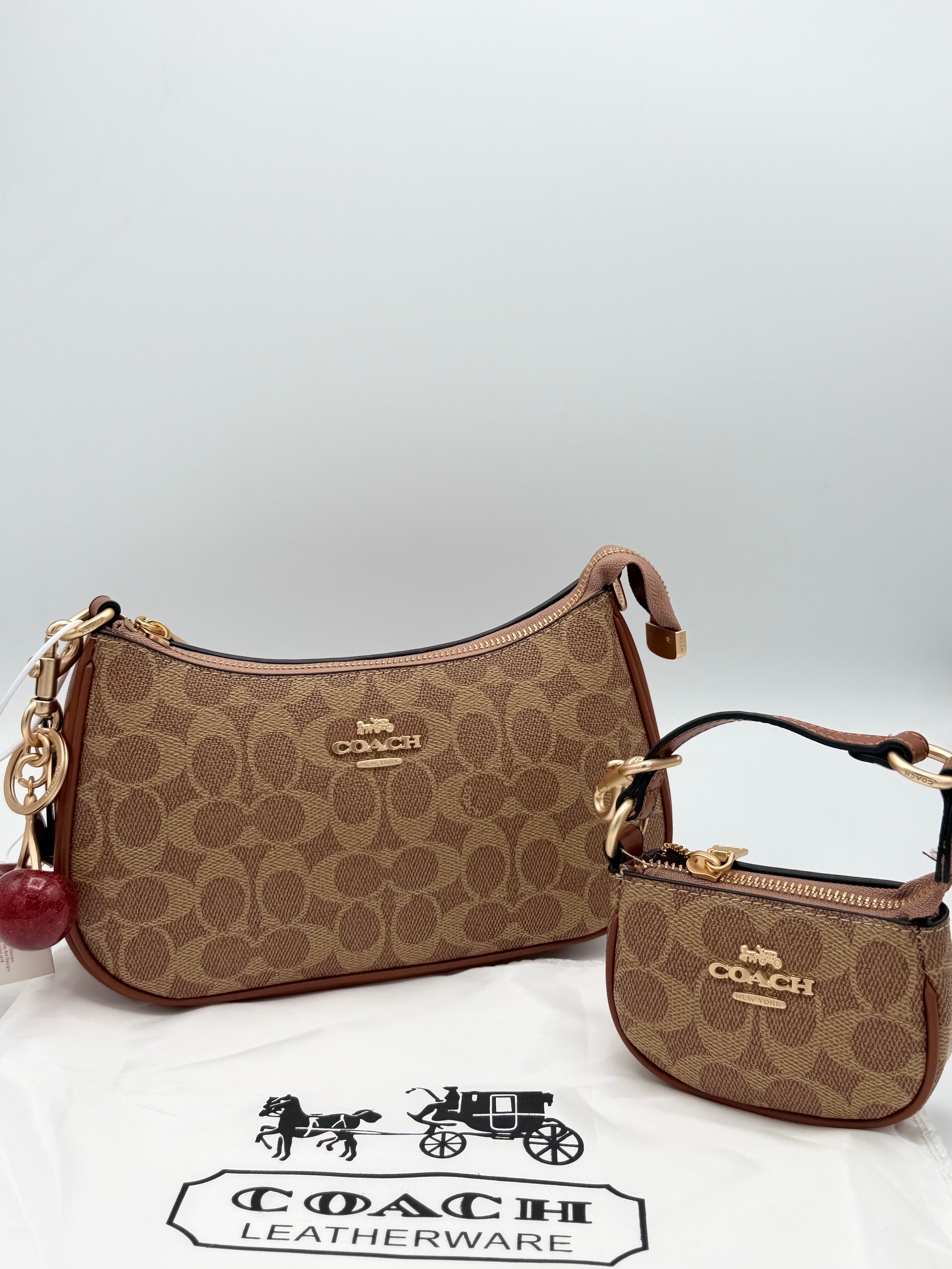 Coach Bag 2 pieces set Master copy